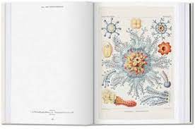 the art and science of ernst haeckel