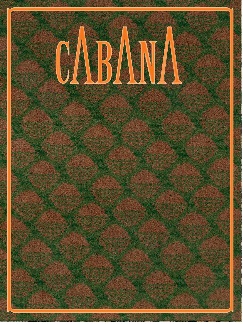 Cabana magazine 17
