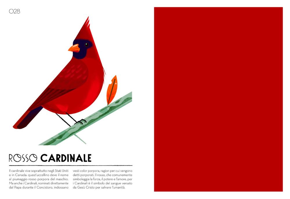 colorama il mio campionario cromatico
