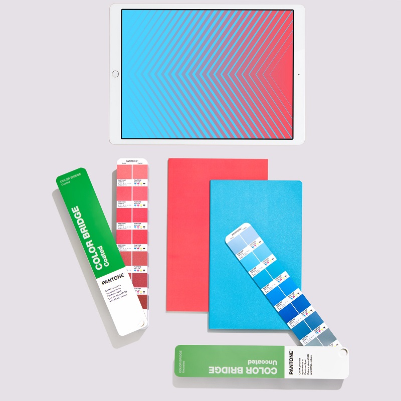 Color Bridge Guide Set Coated & Uncoated