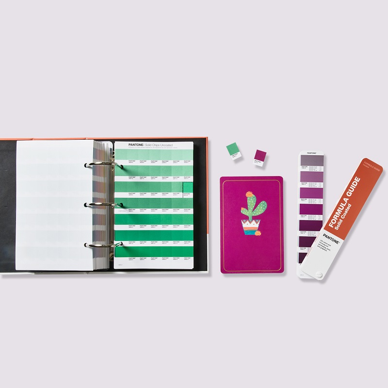 pantone solid color set formula guide solid chips