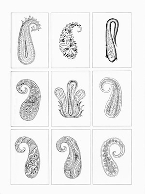 paisley