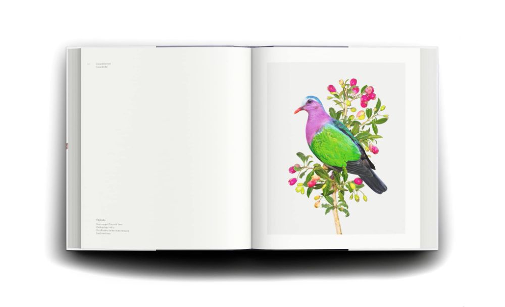 homage to the bird