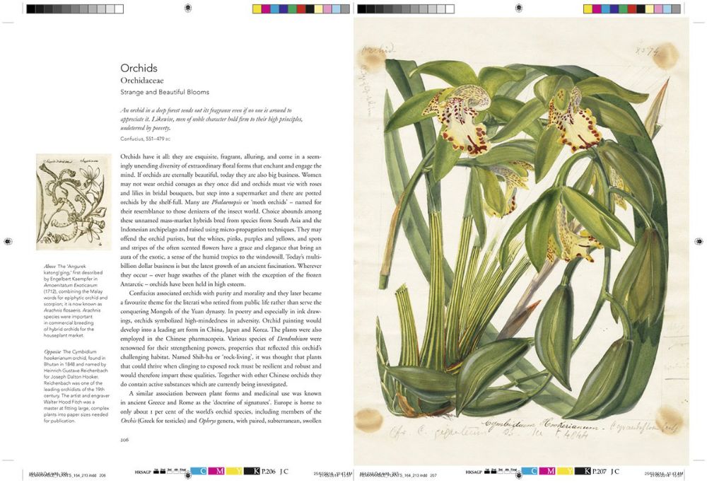 remarkable plants