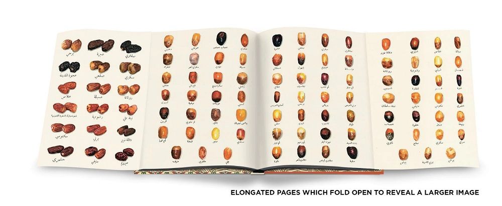 saudi dates a portrait of the sacred fruit