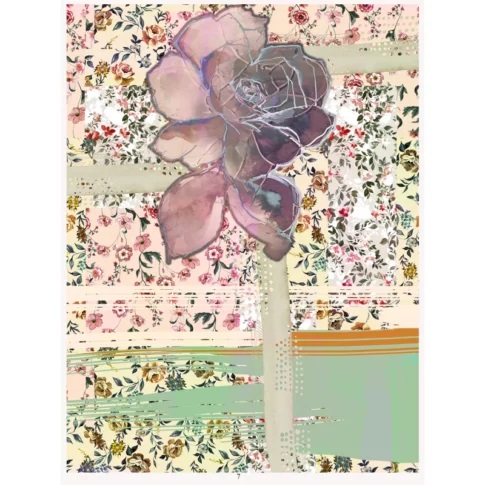 print box alessandro collection