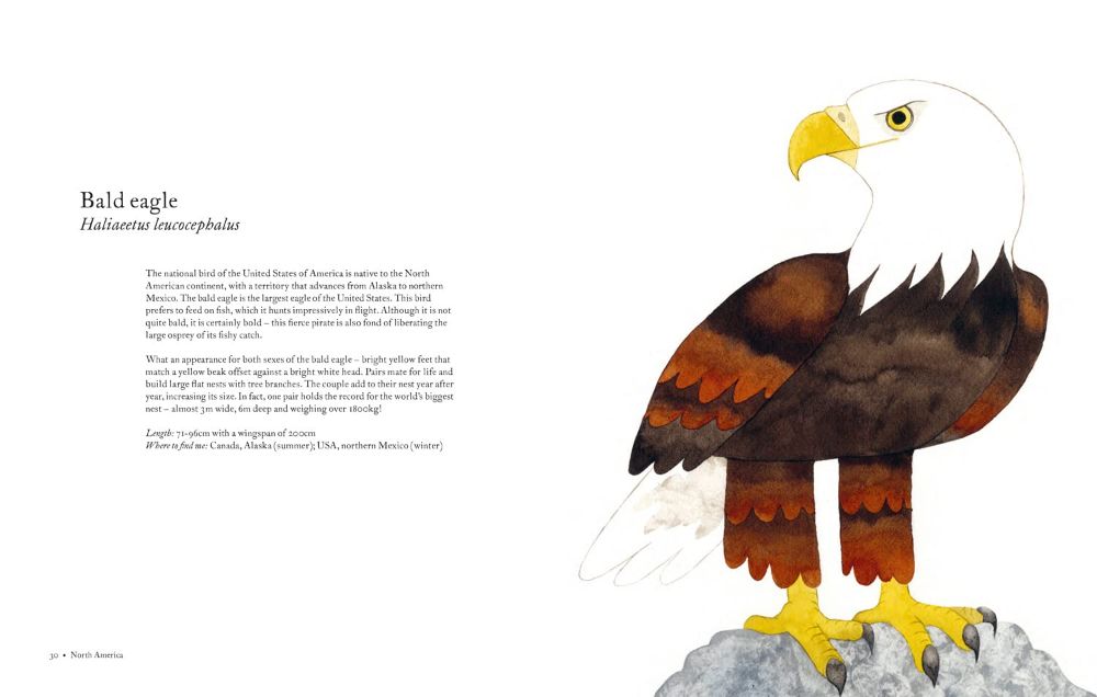 atlas of amazing birds