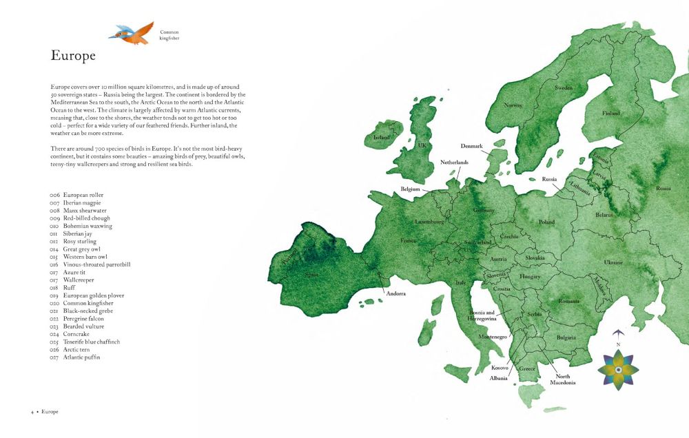 atlas of amazing birds