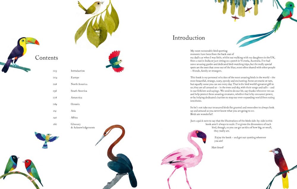 atlas of amazing birds