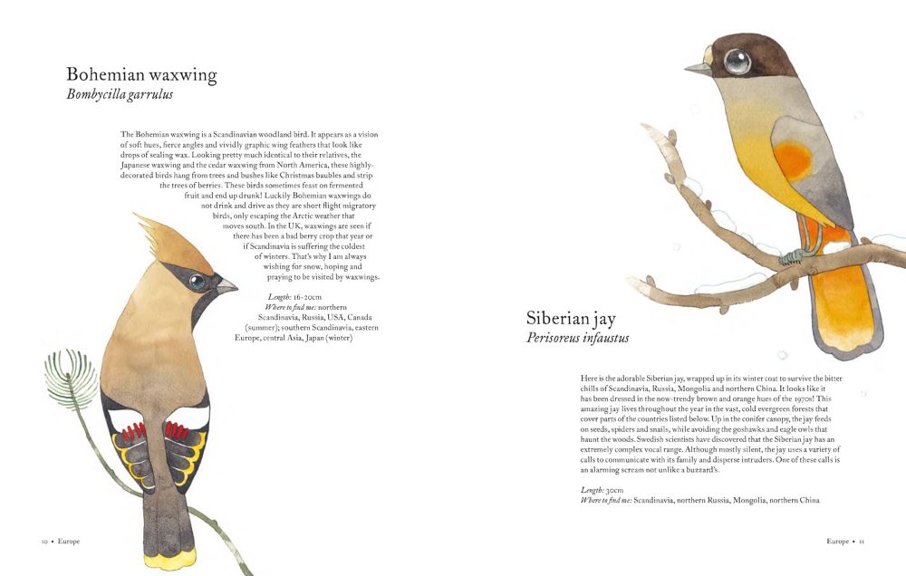 atlas of amazing birds