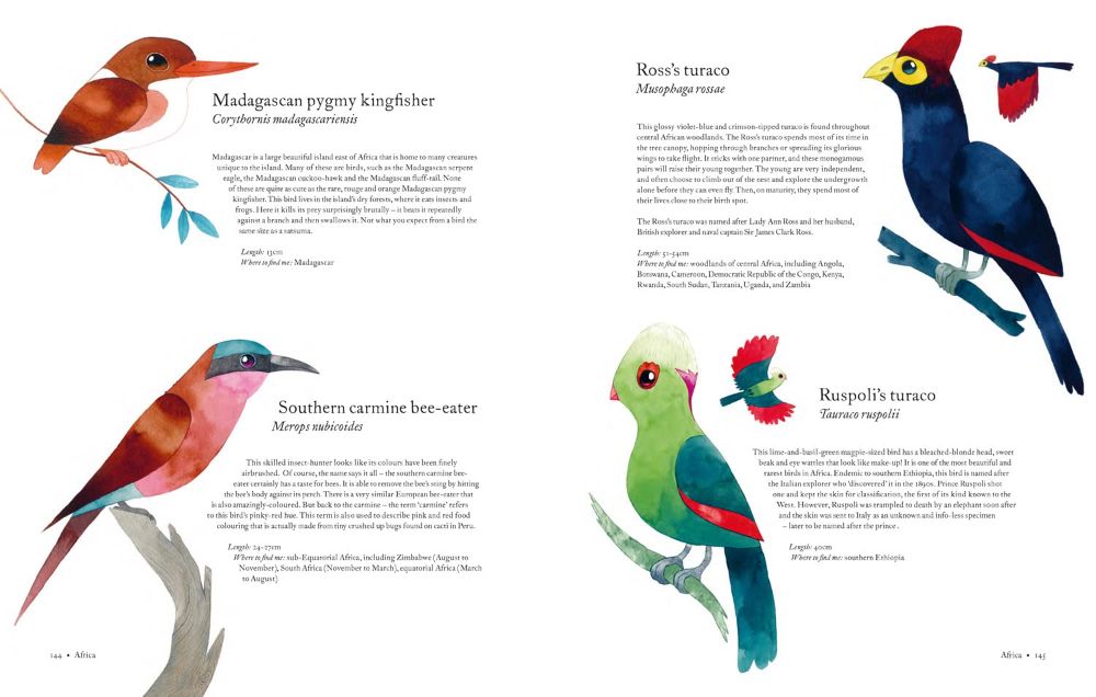 atlas of amazing birds