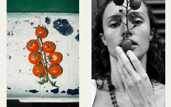 joys fashion book vol15