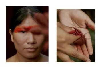 uxua utopia a very gifted guest house