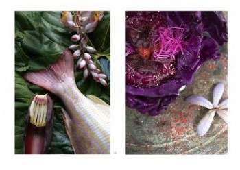 uxua utopia a very gifted guest house