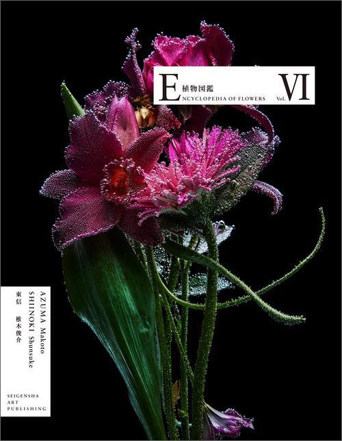 Encyclopedia of Flowers Volume 6 2022-2024