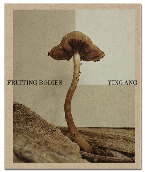Fruiting Bodies – Ying Ang
