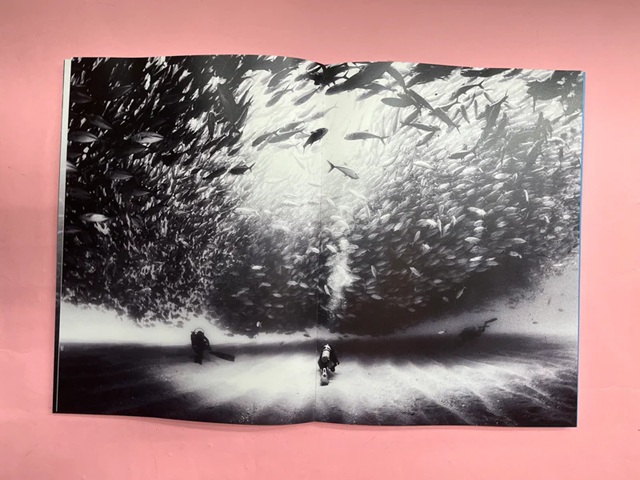 eki magazine 06 light and water