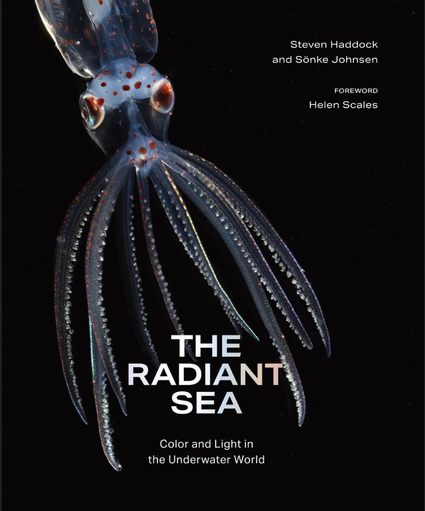 The Radiant Sea: Color and Light In the Underwater World